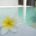 Wellness und Spa Hellweg-Sole-Thermen Bad Westernkotten