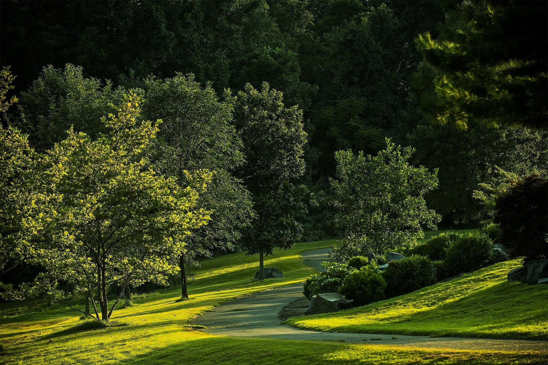 Grüner Parkweg im Kurpark Bad Westernkotten